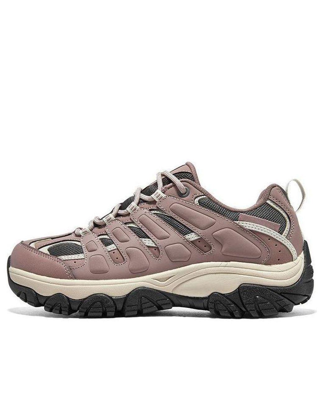 Women’s Brown (Wmns) Adventurer ‘Volando Women's Brown (Wmns) Adventurer 'Volando