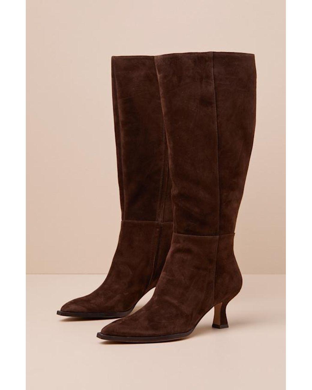 Women's Brown Auggie Wide Calf Dark Suede Pointed-Toe Knee-High Boots